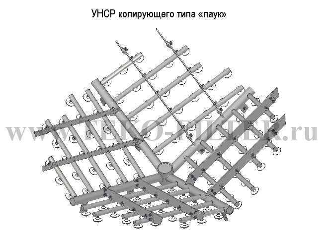 НДРУ паук